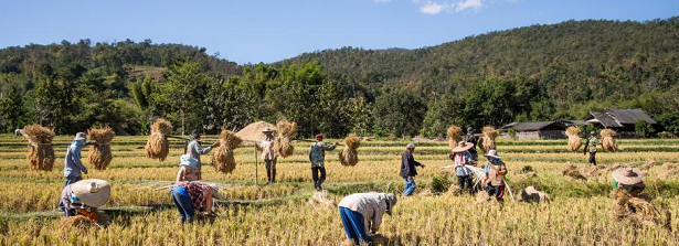 Launch NLandscapes: a practicioners network on landscape approaches