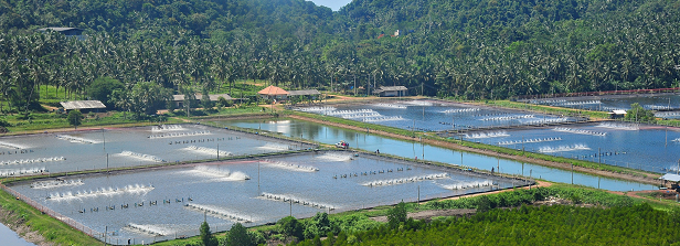 Governing aquaculture in coastal landscapes Southeast Asia (SUPERSEAS)