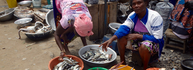 Fish for food security in city regions of India and Ghana (Fish4Food)