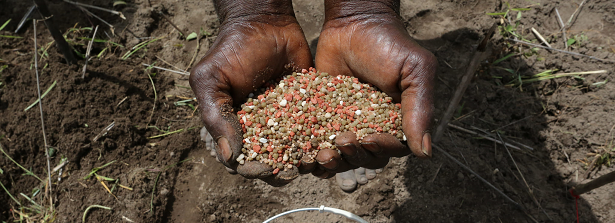 GCP-4 Citizen’s Science for climate smart nutritious varieties