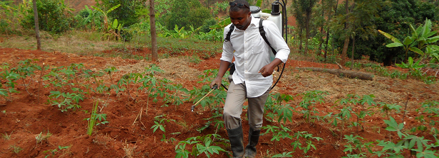 ARF-1 factsheet: Building on Fertile Ground in Burundi