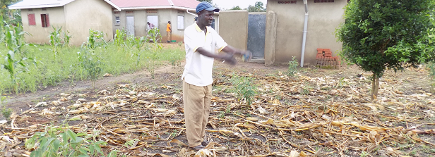 ARF-1 factsheet: Farmer-led soil innovations to sustain food production in Uganda