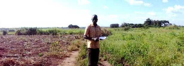 Farmer-led soil innovations to sustain food production in Uganda