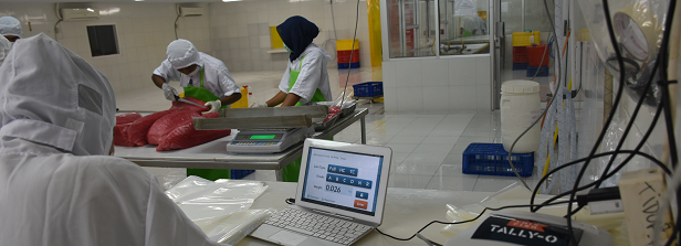 ARF-2 factsheet: Technology innovations towards sustainability in tuna supply chains Indonesia