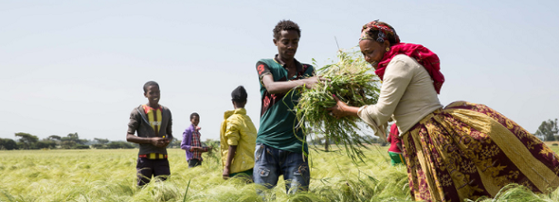 Public seminar “The potential of value chains for nutrition“