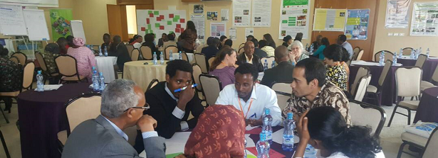 ARF-3 international workshop in Ethiopia