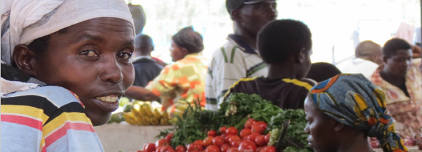 Enhancing the effectiveness of agriculture-to-nutrition pathways