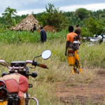 Synthesis report - Learning Platforms for land-based investments in Tanzania, Mozambique and Uganda