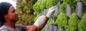 Urban Agri Summit 2018