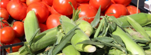 West and Central Africa Post-Harvest Congress and Exhibition (WCAPHCE)