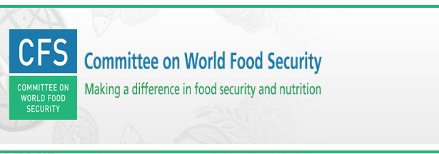 Committee on World Food Security plenary session 45