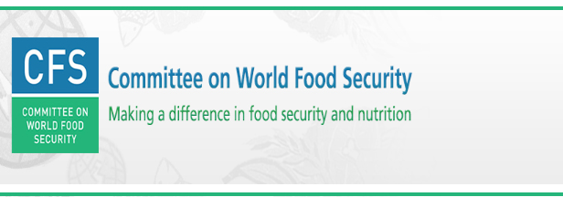 Committee on World Food Security plenary session 45