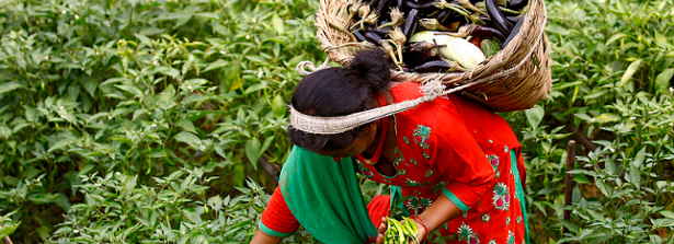 Can farming improve the lives of rural women and girls?