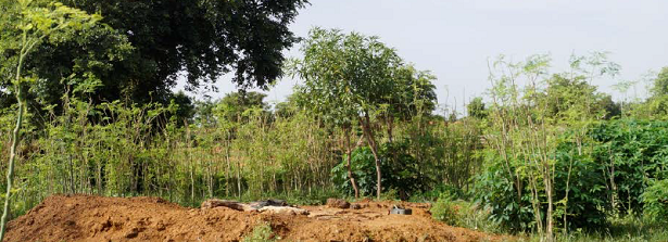 PPT presentation lunch meeting Agricultural intensification in the Sahel, October 11, 2018 by Chris Reij