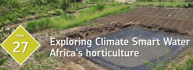 Session on Exploring Climate Smart Water in Africa's Horticulture