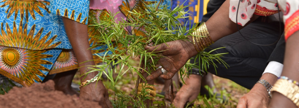 Kick-off event: Strengthening Women’s Land Rights – Crucial for SDG’s