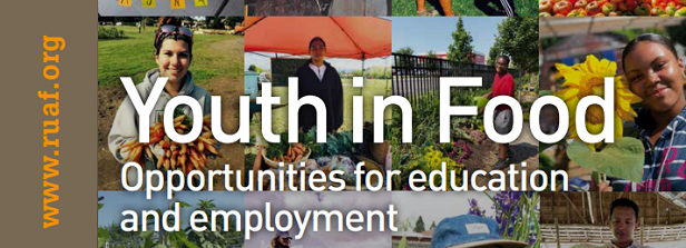 Youth in Food: Opportunities for education and employment