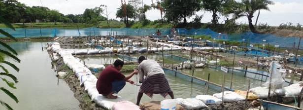 Water quality sampling in Bangladesh