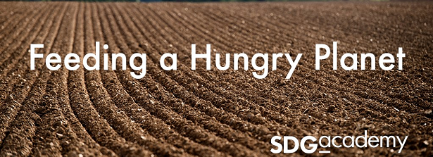 Online Course: Feeding a Hungry Planet