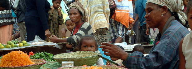 Repairing food systems failures: Policies, Innovations & Partnerships