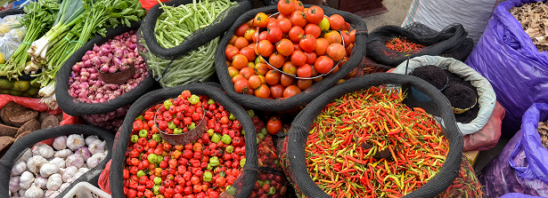 Meeting Valuable Vegetables - horticulture learning loop, April 2, 2019 in the Netherlands