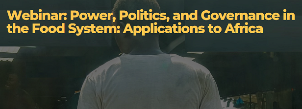 Power, Politics, and Governance in the Food System: Applications to Africa