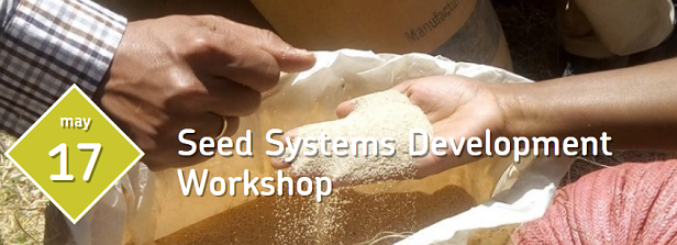 Workshop Seed Systems Development