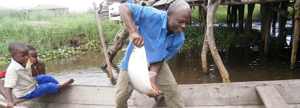 Improving the resilience of inland fishery in Benin - Hewlett Grant