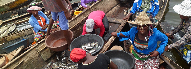 ARF-2.1 Benin inland fisheries final factsheet