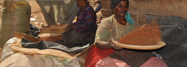 ARF workshop in Uganda - including field visit Value Addition Institute