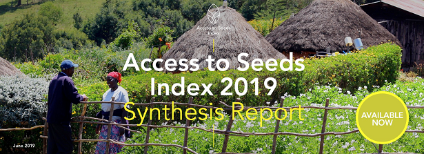 Access to Seeds Index 2019 - Synthesis Report