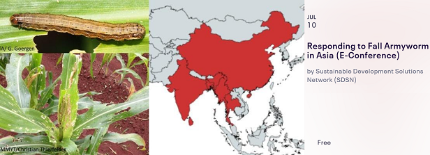 E-Conference: Respond to Fall Armyworm in Asia
