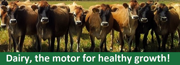 Dairy, the motor for healthy growth