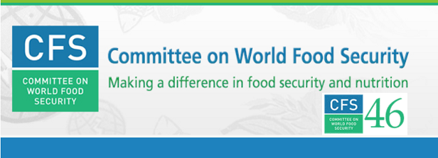 Committee on World Food Security plenary session 46