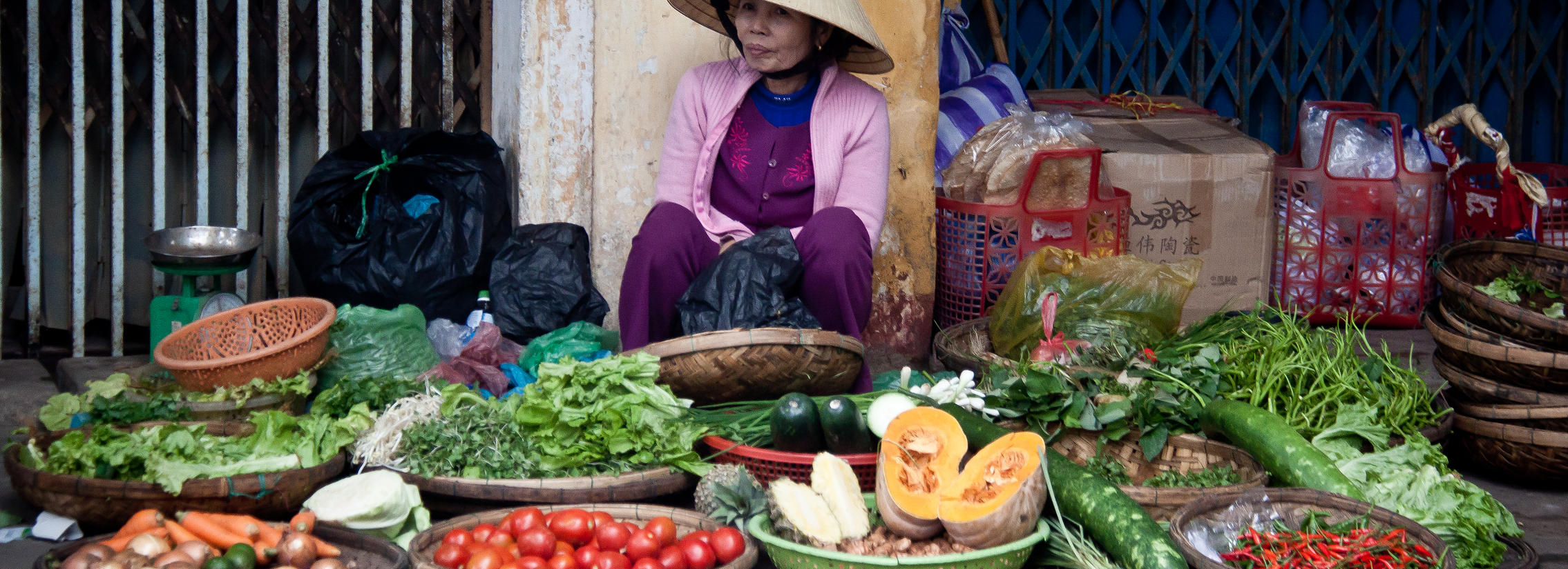 Integrated vegetable seed systems development - Vietnam