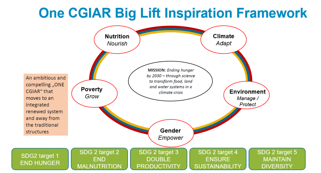 One CGIAR Big Lift framework as proposed by Wijnand van IJssel