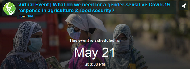 Virtual event IFPRI: What do we need for a gender-sensitive Covid-19 response in agriculture and food security?