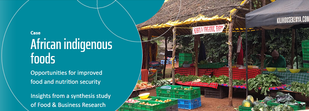 FBR Synthesis Study - African indigenous foods