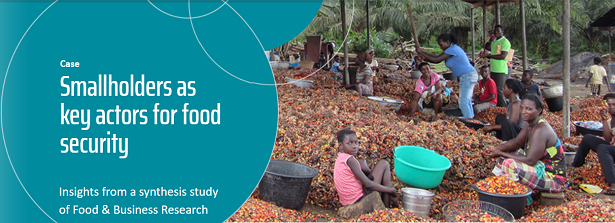 Synthesis Study - Smallholders as key actors for food security