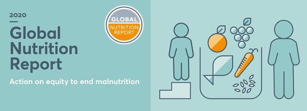NWGN Blog on Global Nutrition Report 2020