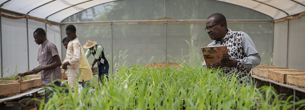 ATVET Success Stories Call for Africa Knows (image: Dr Hakeem Ajeigbe, ICRISAT)