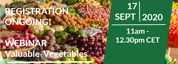 Webinar Valuable Vegetables: synthesis of lessons from Dutch investments in the horticulture sector. Focus on: inclusiveness.