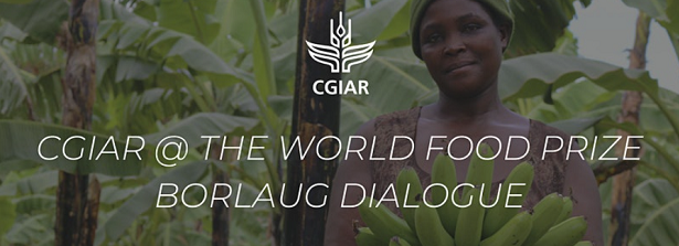 CGIAR at the Borlaug Dialogue